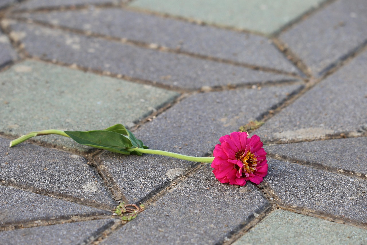 Why CPAP Adherence Fails and What Headgear-Free Solutions Offer