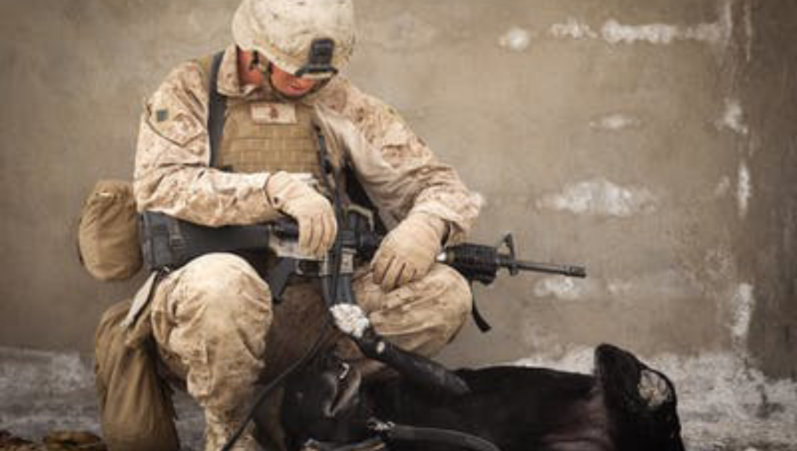 The Best Gun Safes on the Market