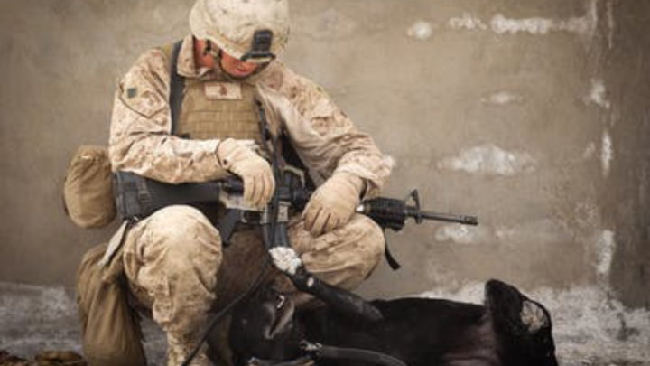 The Best Gun Safes on the Market