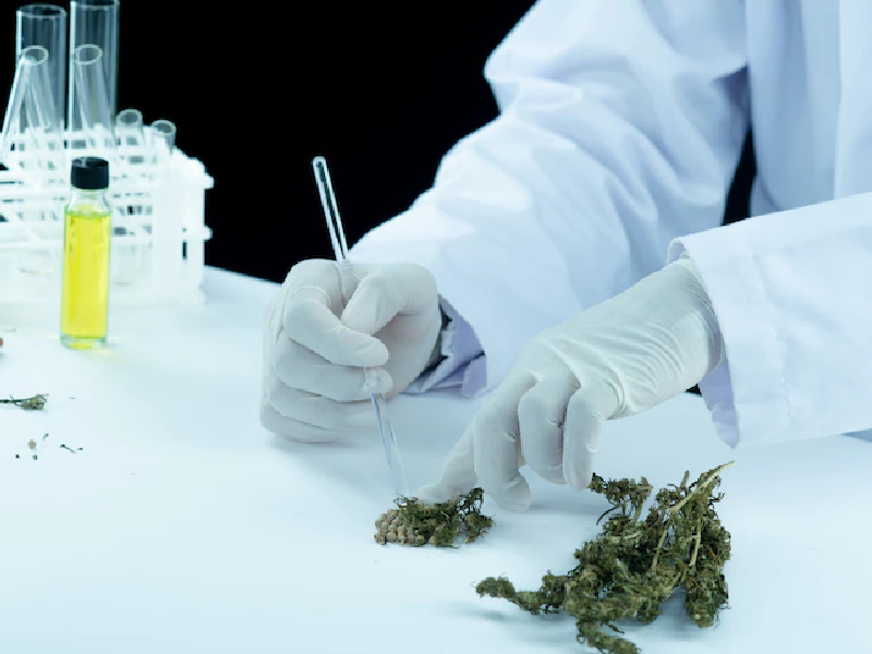 Cannabis Business Loans – Marijuana Equipment Financing