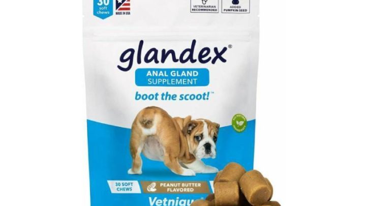 Keeping Your Dog Healthy With Anal Gland Supplements