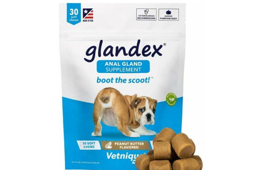 Keeping Your Dog Healthy With Anal Gland Supplements