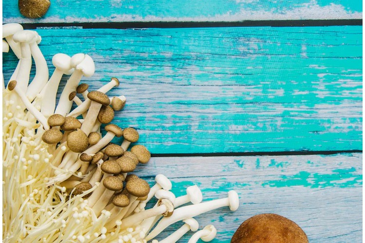 Blue Meanies Mushrooms