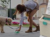 pet waste disposal system