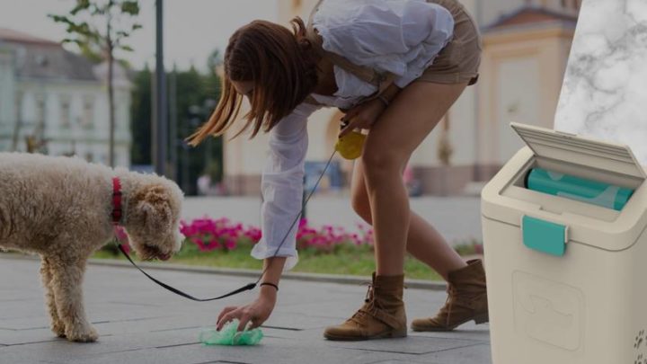 Choose The Right Pet Waste Disposal System For Your Home