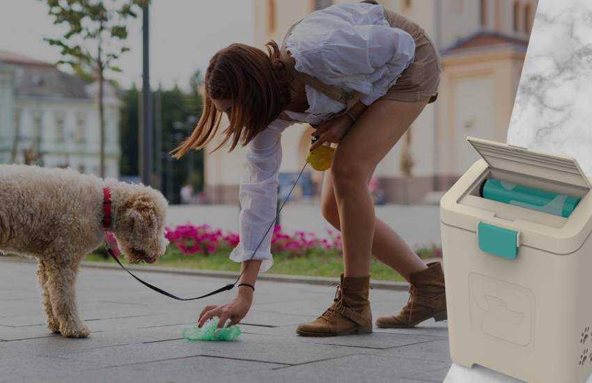 Choose The Right Pet Waste Disposal System For Your Home