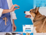 anal gland supplement