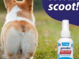 anal gland supplement