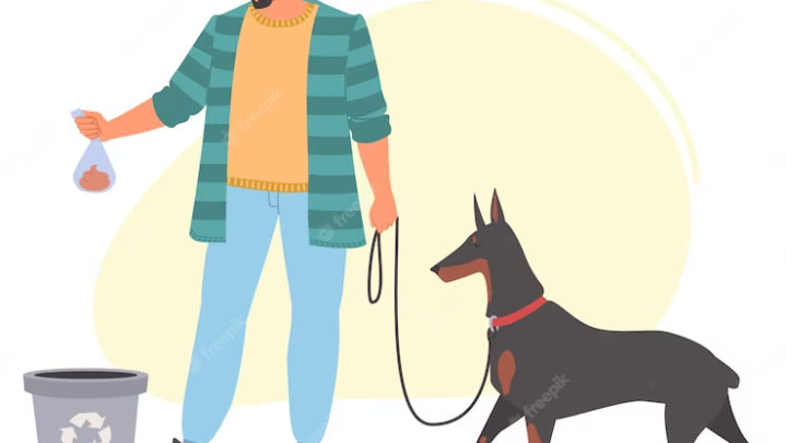 What You Need To Know About Dog Waste Stations?