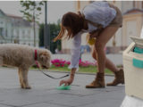 dog poop disposal system