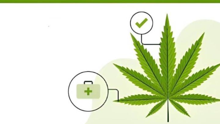 How A Medical Marijuana Card Improves Your Quality Of Life?