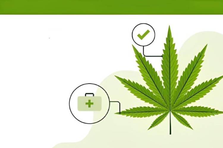 How A Medical Marijuana Card Improves Your Quality Of Life?