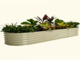 galvanized raised beds