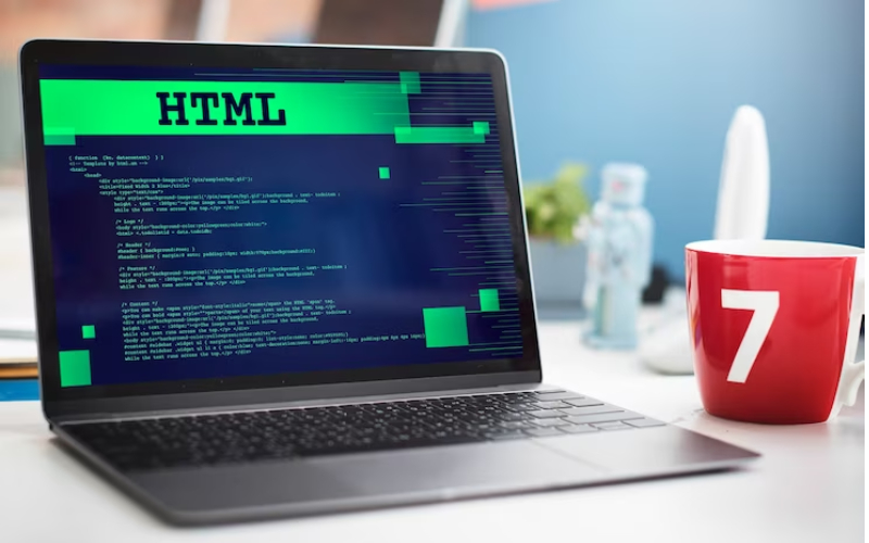 web design Tampa