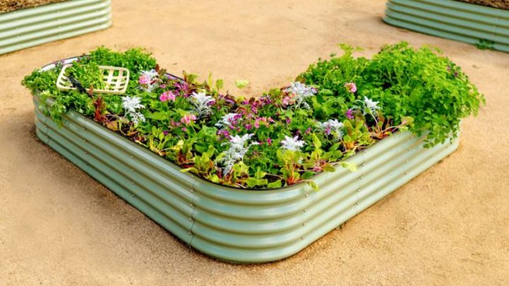 Elevate Your Gardening Game: Raised Garden Beds For Sale