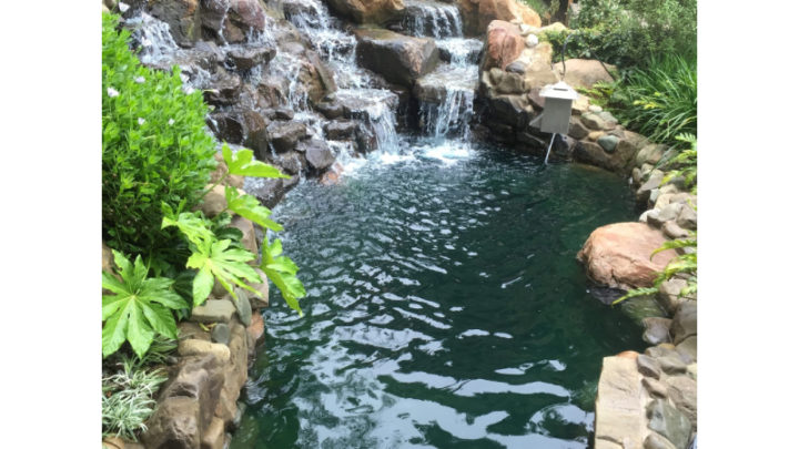 Where Can I Find Inspiration For Custom Water Features In Arizona?