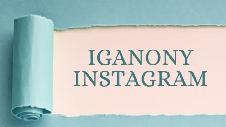 Boosting Engagement: Leveraging iGanony for Instagram Success