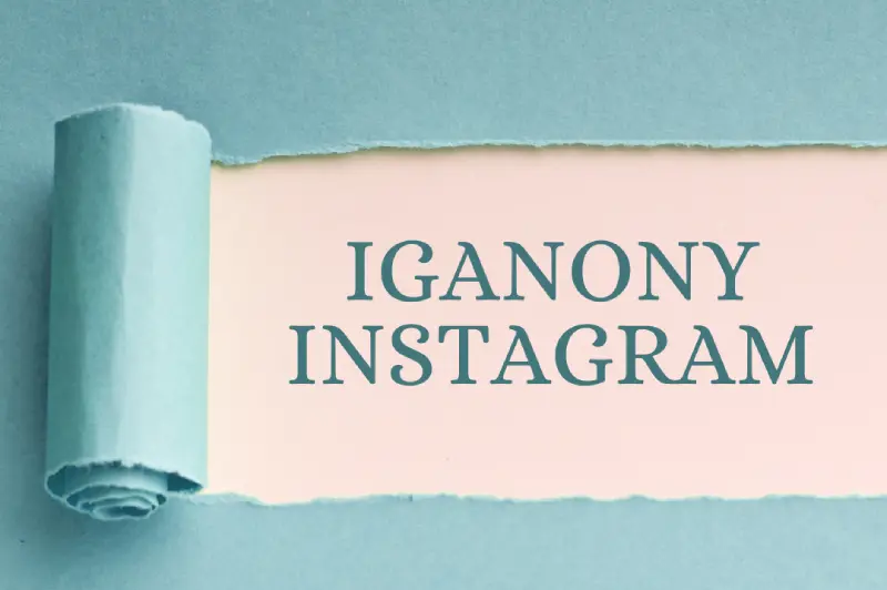 Boosting Engagement: Leveraging iGanony for Instagram Success