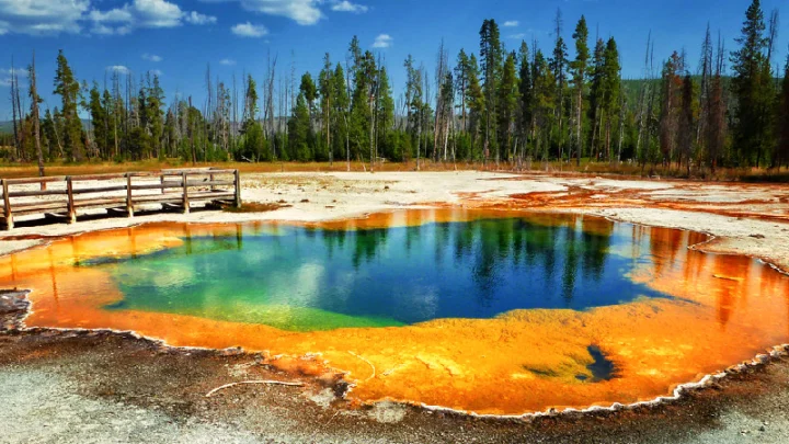 Unforgettable Experiences: Things to Do in Jackson WY