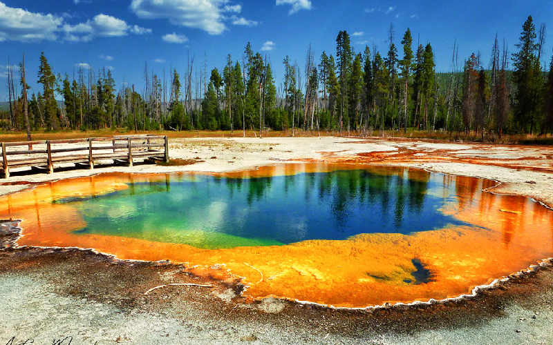 Unforgettable Experiences: Things to Do in Jackson WY