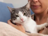 remedios caseros para la alergia a los gatos