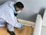 Cockroach Exterminator In Toronto