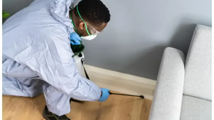 How to Find the Best Cockroach Exterminator in Toronto?