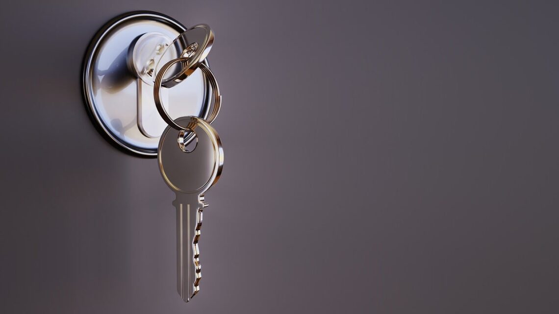 Steel Security Doors Explained: What Sets Them Apart from Standard Entry Doors